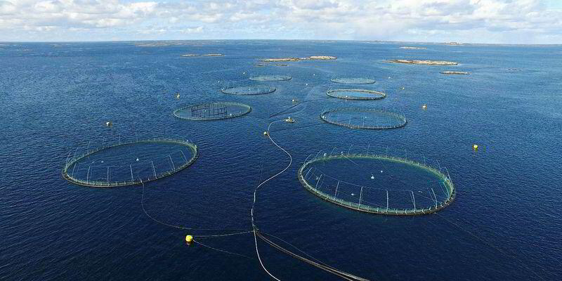 Bilder er fra AtoN sitt anlegg på vannet